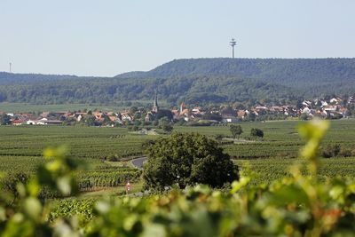 Unser Dorf - Weisenheim am Berg